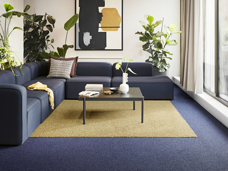 Touch & Tones II Carpet Collection